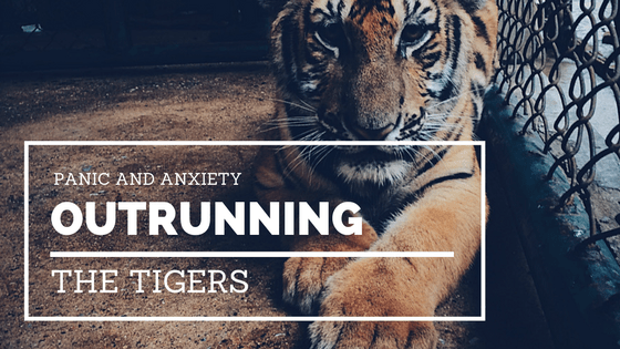 outrunning-tigers-image