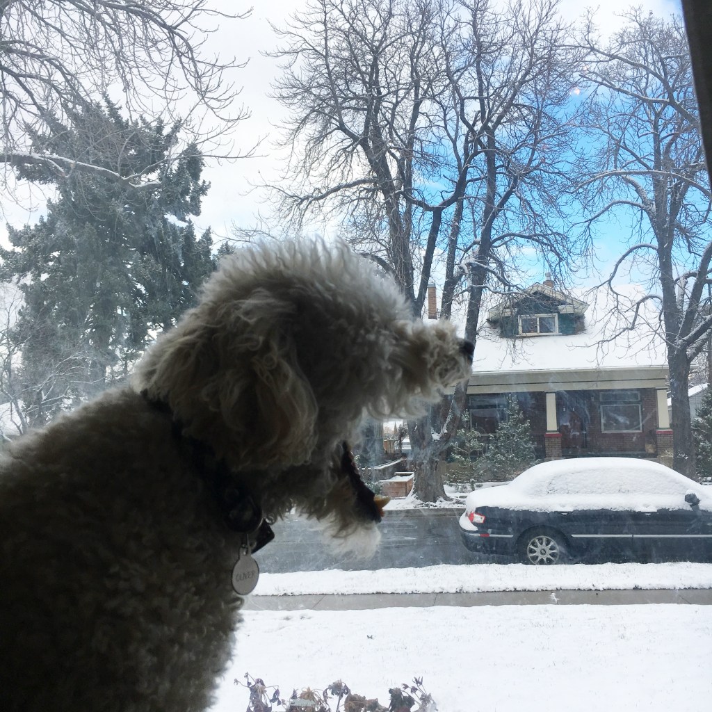 This Little Shit That I&nbsp;Love