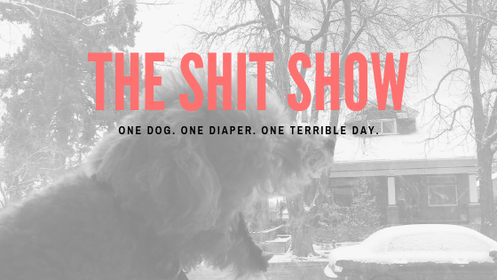 The Shit Show: Please Send&nbsp;Help
